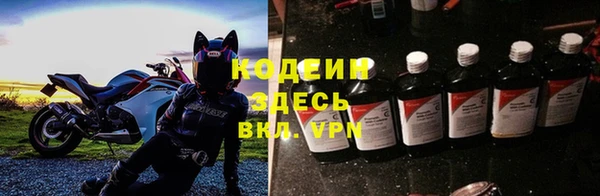 прущие грибы Белоозёрский