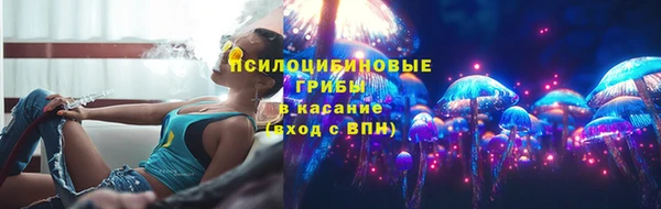 ПСИЛОЦИБИНОВЫЕ ГРИБЫ Заводоуковск