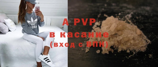 прущие грибы Белоозёрский