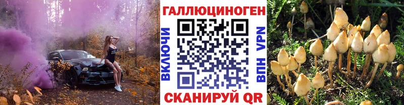 Псилоцибиновые грибы мухоморы  Демидов 